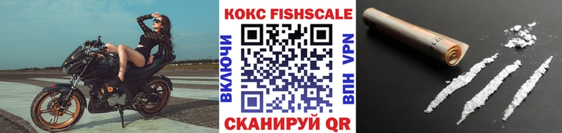 цена наркотик  Питкяранта  Cocaine Эквадор 